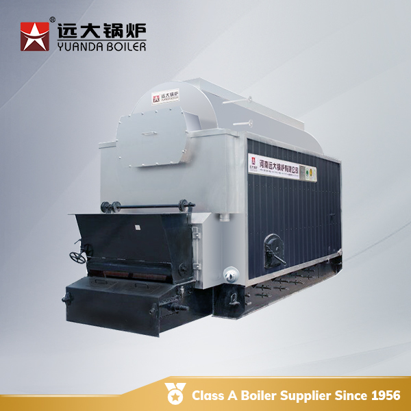 dzl coal fired steam boiler